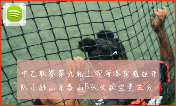 中乙联赛第九轮上海海港富盛经开队小胜山东泰山B队收获宝贵三分