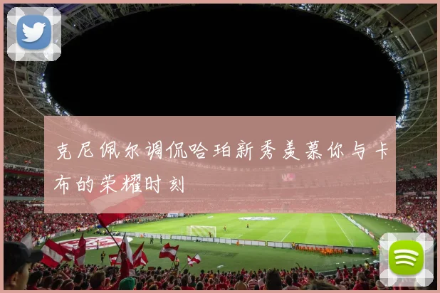 克尼佩尔调侃哈珀新秀羡慕你与卡布的荣耀时刻