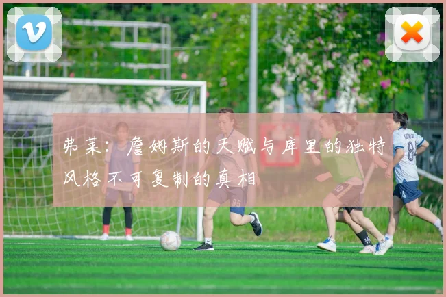 弗莱：詹姆斯的天赋与库里的独特风格不可复制的真相