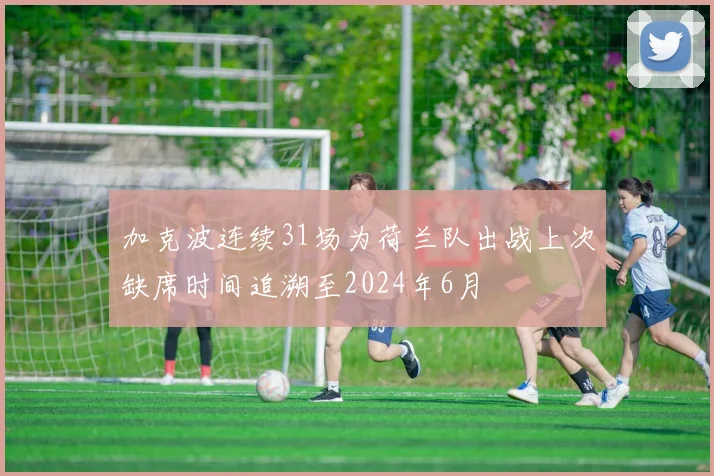 加克波连续31场为荷兰队出战上次缺席时间追溯至2024年6月