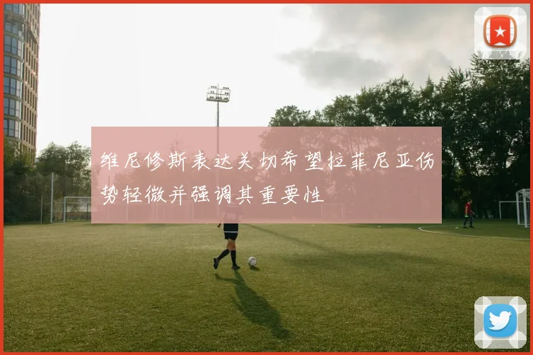 维尼修斯表达关切希望拉菲尼亚伤势轻微并强调其重要性